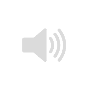 An audio icon